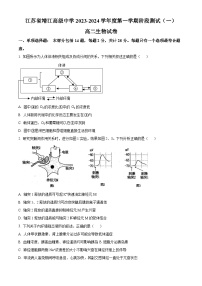 江苏省靖江高级中学2023-2024学年高二生物上学期10月阶段测试（一）（Word版附解析）