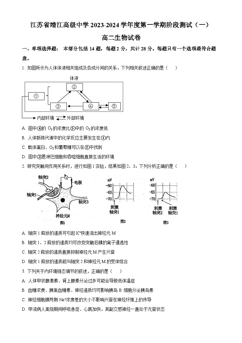 江苏省靖江高级中学2023-2024学年高二生物上学期10月阶段测试（一）（Word版附解析）第1页
