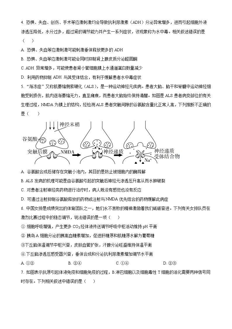 江苏省靖江高级中学2023-2024学年高二生物上学期10月阶段测试（一）（Word版附解析）第2页