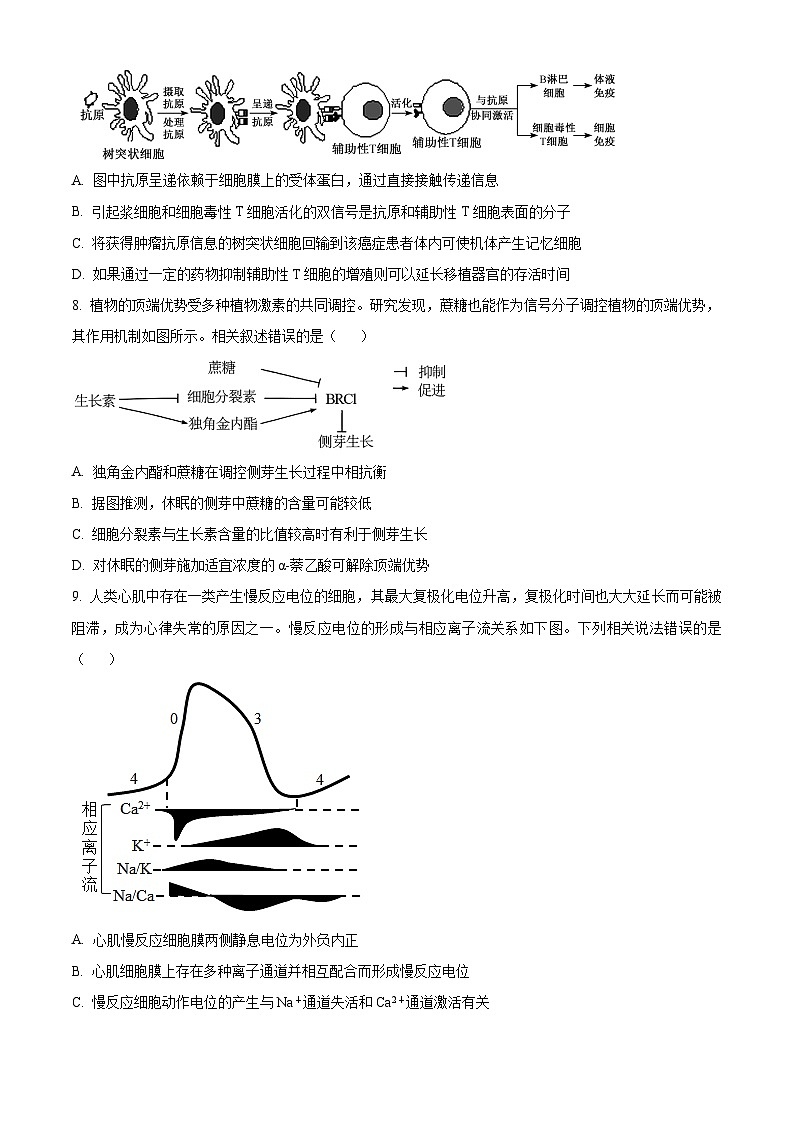 江苏省靖江高级中学2023-2024学年高二生物上学期10月阶段测试（一）（Word版附解析）第3页