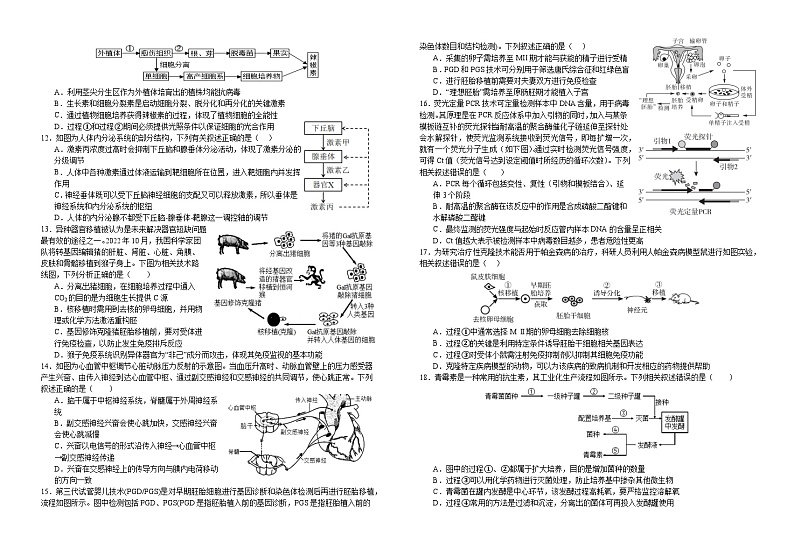 江西省宜春市宜丰中学创新部2023-2024学年高二上学期10月月考生物试卷第2页