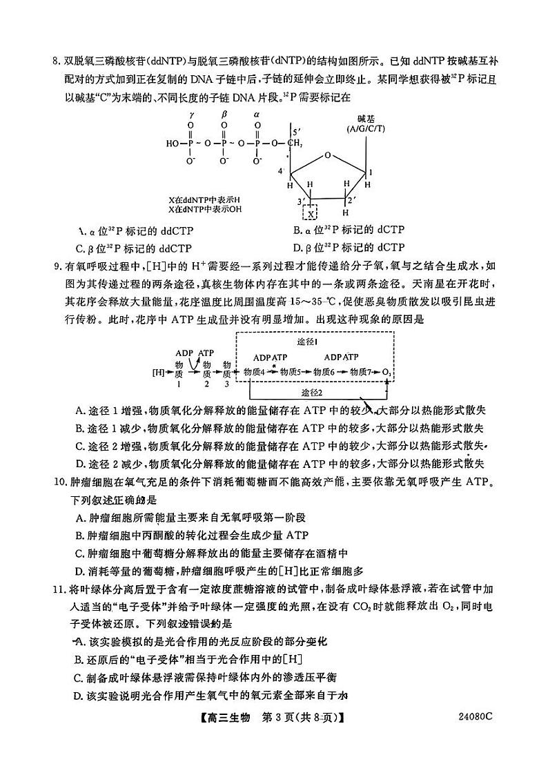 陕西省宝鸡教育联盟2024届高三生物上学期阶段性检测（二）（PDF版附答案）第3页