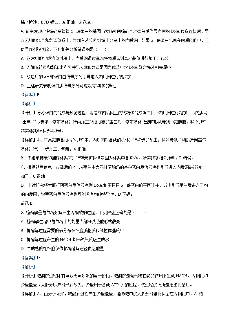 2024届河南省鹤壁市高中高三上学期第二次模拟考试生物试题及答案03