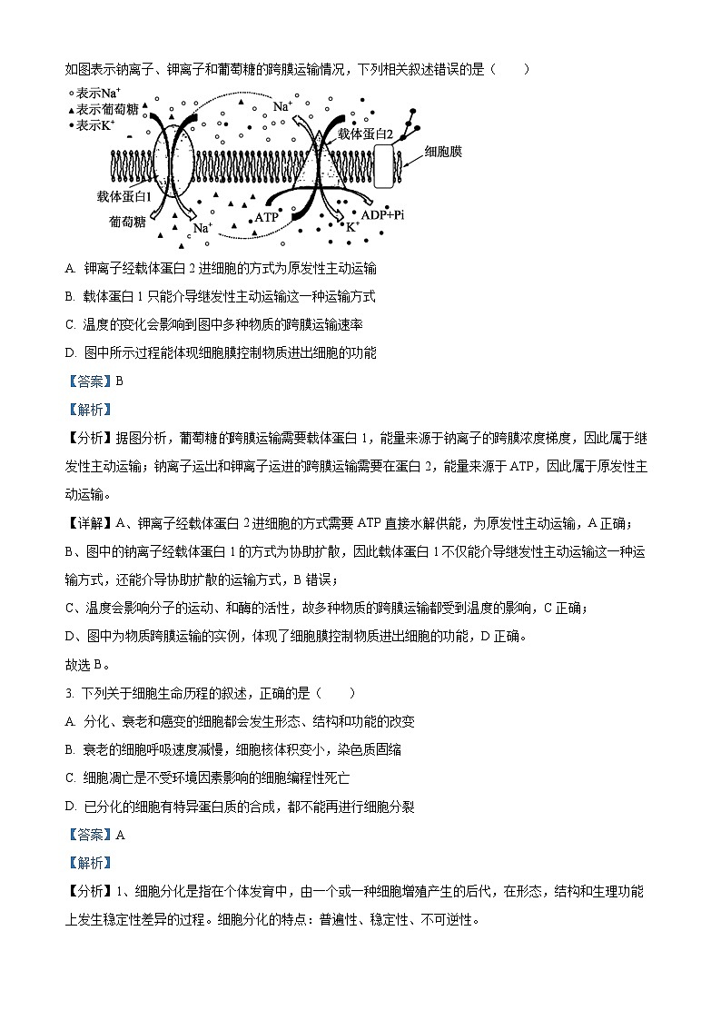 四川省南充高级中学2022-2023学年高三生物下学期第七次月考试题（Word版附解析）第2页