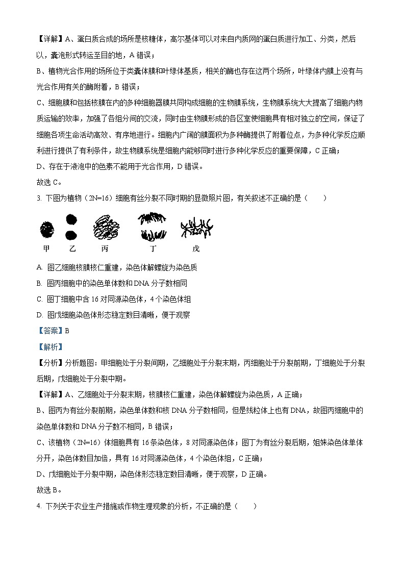四川省南充高级中学2022-2023学年高三生物上学期第一次模拟试题（Word版附解析）第2页