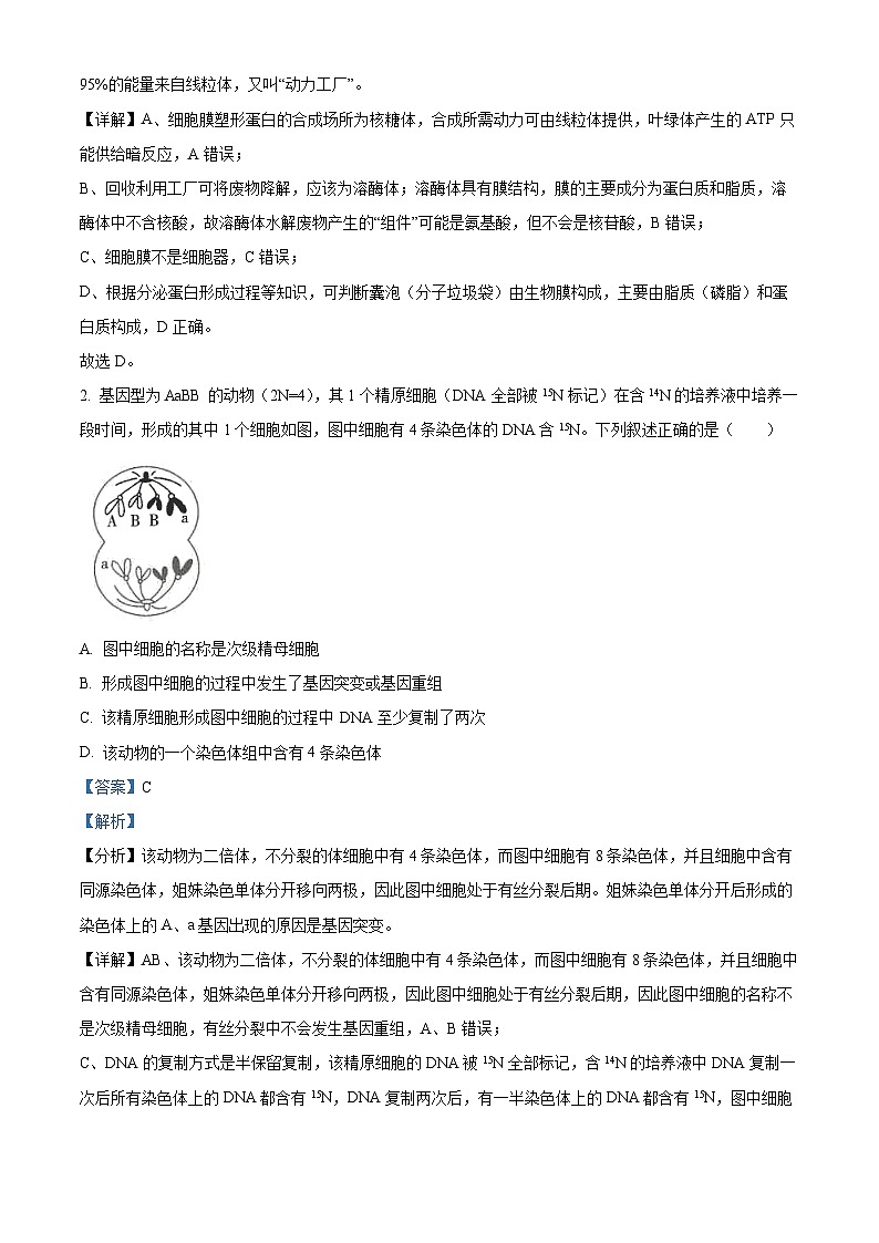 四川省遂宁市第二中学2023-2024学年高三生物上学期第一次诊断性试题（Word版附解析）02