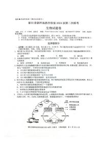 2024浙江省新阵地教育联盟高三上学期第二次联考试题（10月）生物PDF版含答案