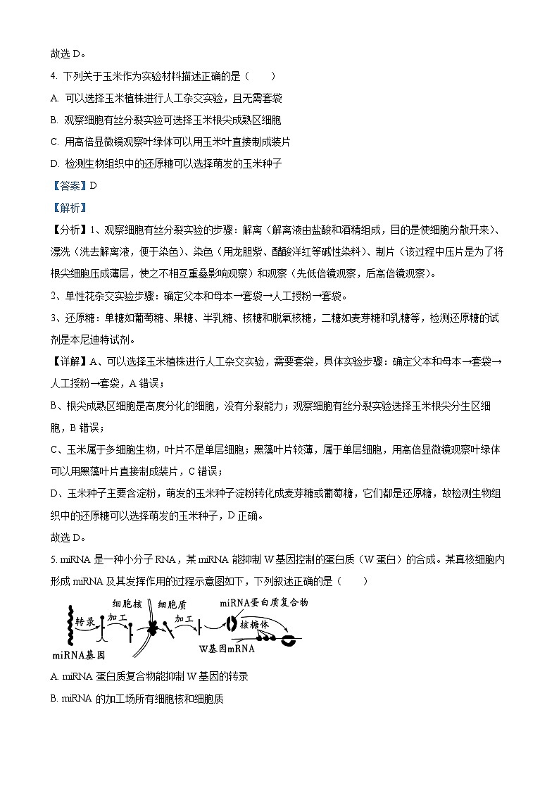 2023南充高级中学高三上学期第三次模拟考试理综生物试题含解析03