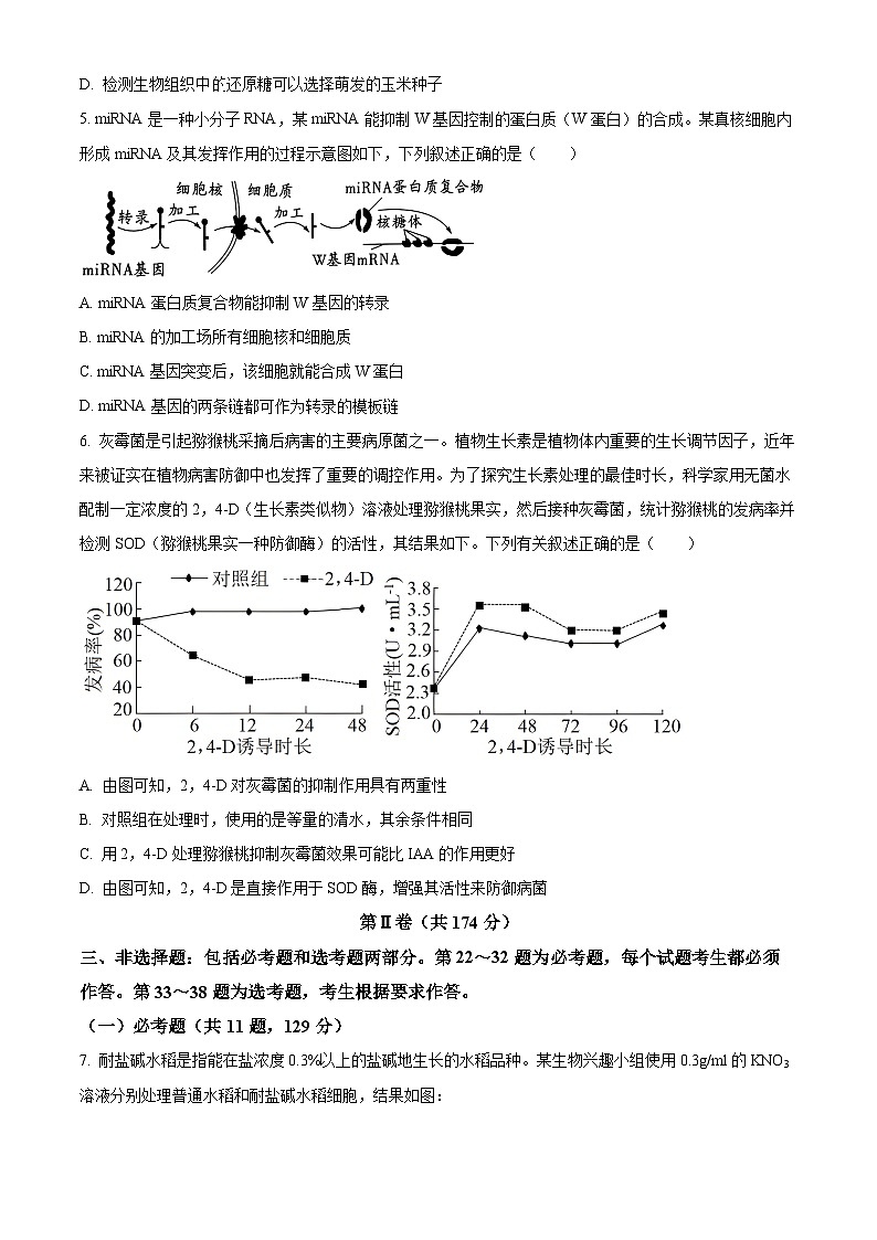 2023南充高级中学高三上学期第三次模拟考试理综生物试题含解析02