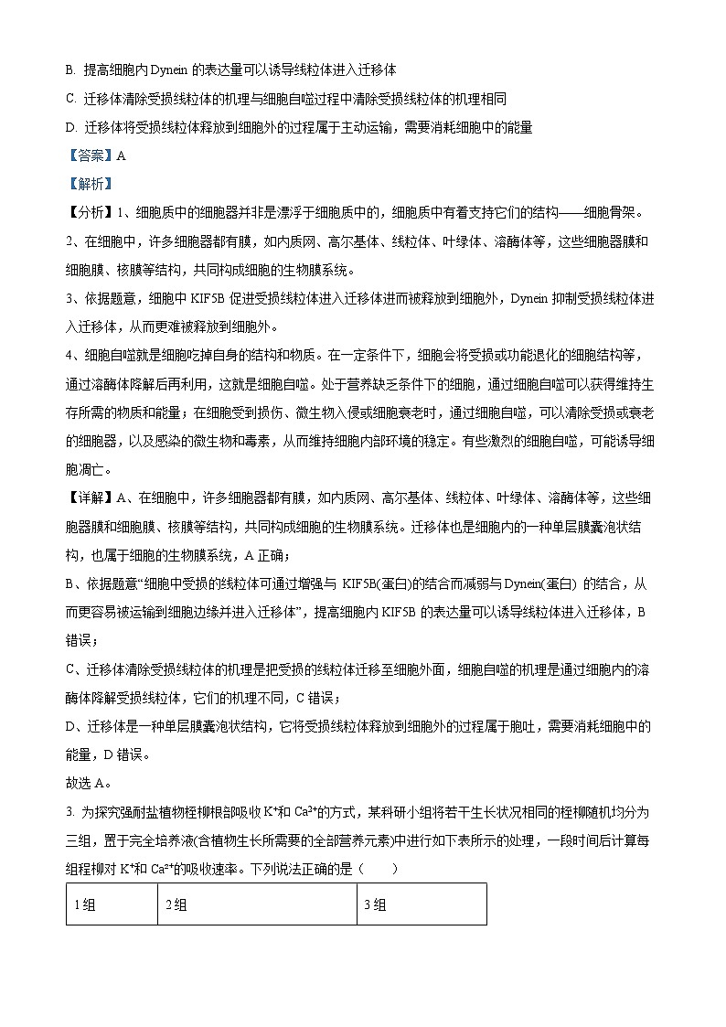 重庆市八中2023-2024学年高三生物上学期9月月考试题（Word版附解析）第2页