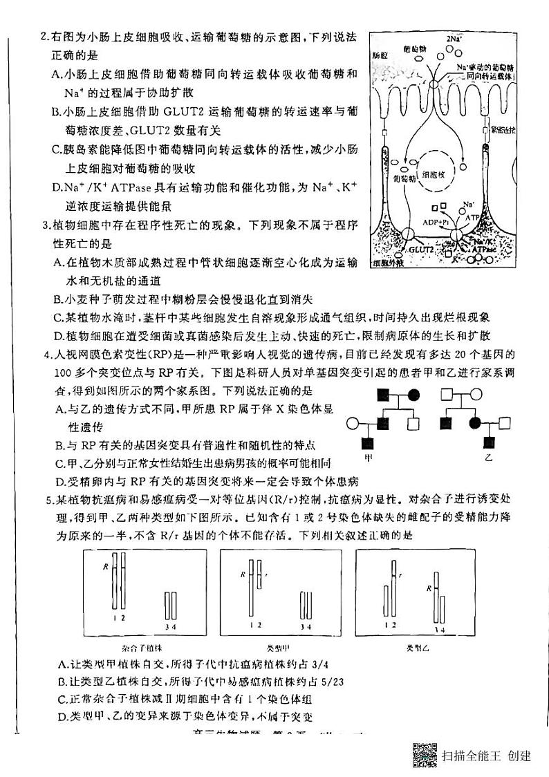 2023届山东省济南，聊城高三下学期学情检测（一模）生物02