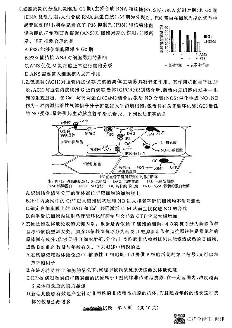 2023届山东省济南，聊城高三下学期学情检测（一模）生物03
