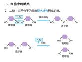 第二章第三节细胞中的糖类和脂质课件人教版（2019）高中生物必修1