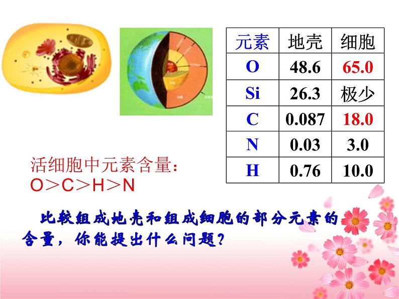 第二章第一节细胞中的元素和化合物课件人教版（2019）必修1第2页