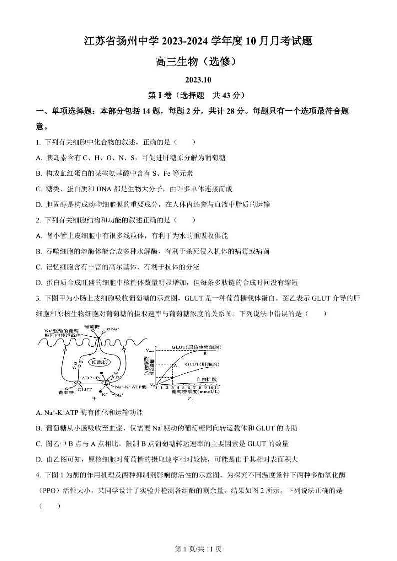 江苏省扬州中学2023-2024学年高三上学期10月月考 生物试题及答案01