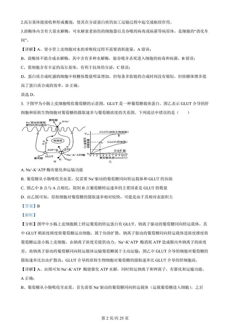 江苏省扬州中学2023-2024学年高三上学期10月月考 生物试题及答案02