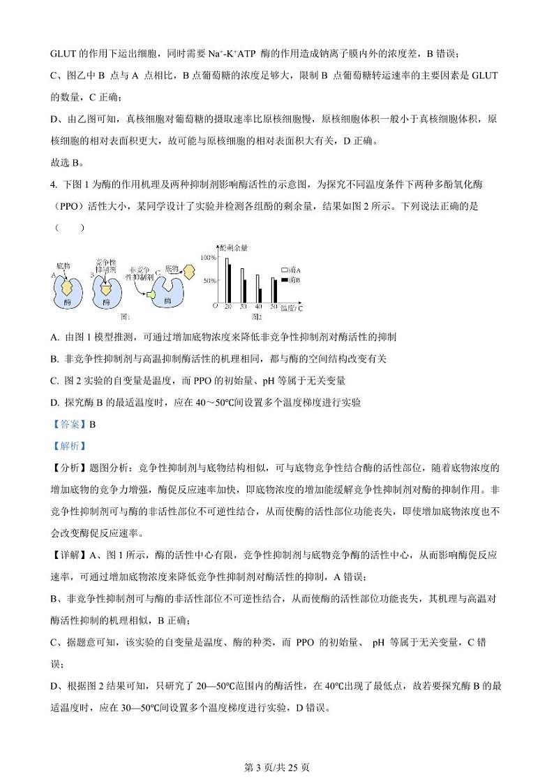 江苏省扬州中学2023-2024学年高三上学期10月月考 生物试题及答案03