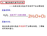 第五章第一节《降低化学反应活化能的酶》课件上人教版（2019）高中生物必修一