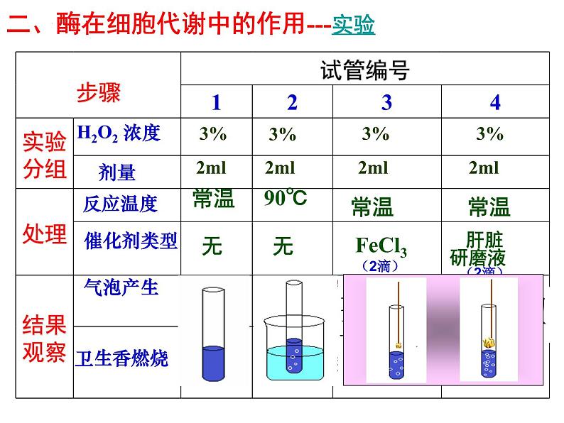 第五章第一节《降低化学反应活化能的酶》课件上人教版（2019）高中生物必修一06