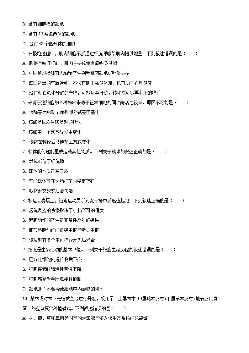 2024浙江省强基联盟高三上学期10月联考生物试题含解析02