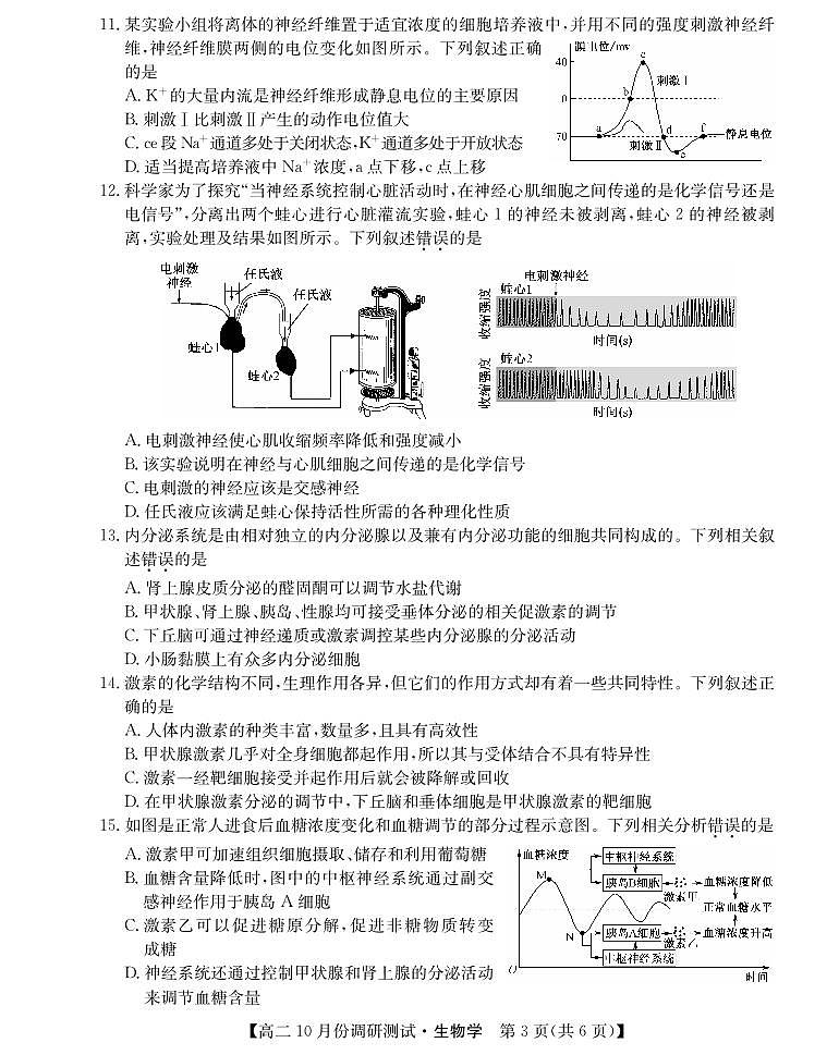 2024运城教育发展联盟高二上学期10月月考生物试题扫描版含答案03