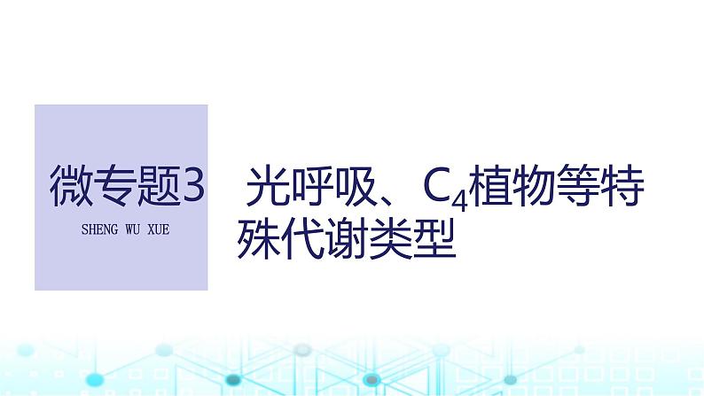 2024届苏教版高中生物一轮复习微专题3光呼吸、C4植物等特殊代谢类型课件01