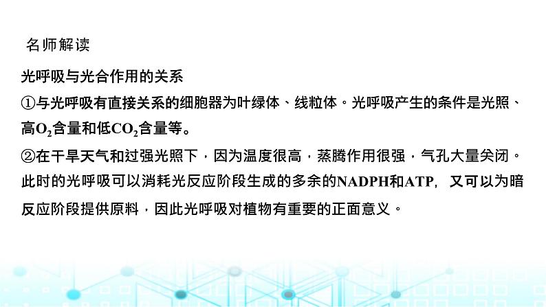 2024届苏教版高中生物一轮复习微专题3光呼吸、C4植物等特殊代谢类型课件03