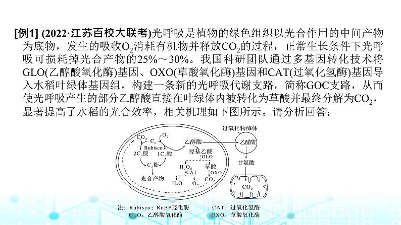 2024届苏教版高中生物一轮复习微专题3光呼吸、C4植物等特殊代谢类型课件04