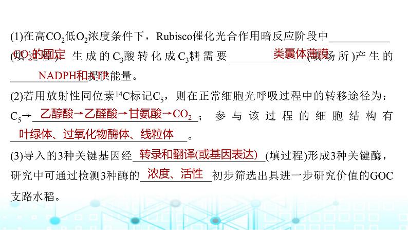 2024届苏教版高中生物一轮复习微专题3光呼吸、C4植物等特殊代谢类型课件05