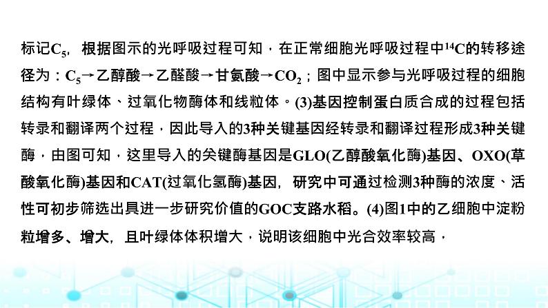 2024届苏教版高中生物一轮复习微专题3光呼吸、C4植物等特殊代谢类型课件08