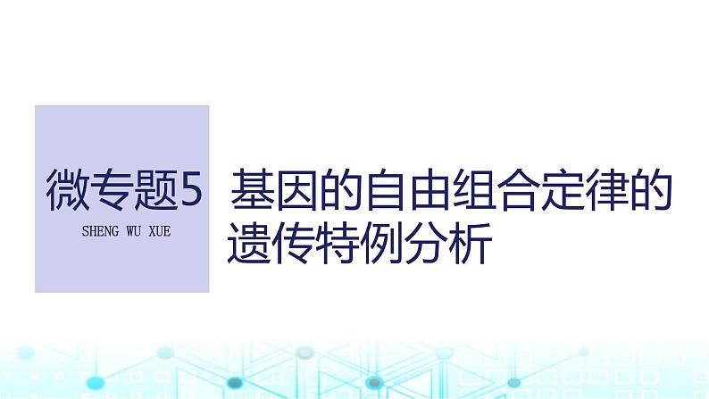 2024届苏教版高中生物一轮复习微专题5基因的自由组合定律的遗传特例分析课件第1页