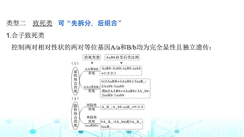 2024届苏教版高中生物一轮复习微专题5基因的自由组合定律的遗传特例分析课件第6页