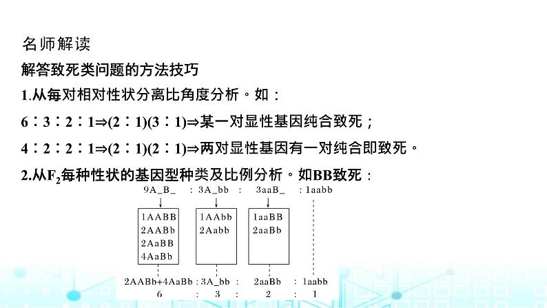 2024届苏教版高中生物一轮复习微专题5基因的自由组合定律的遗传特例分析课件第7页