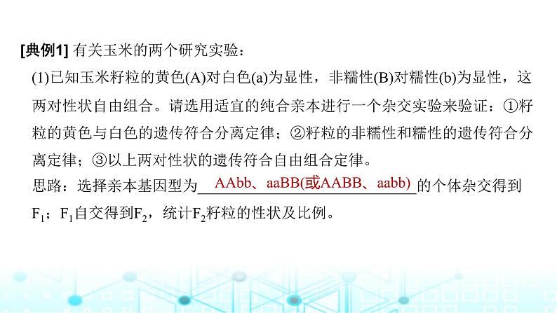 2024届苏教版高中生物一轮复习微专题6基因定位的遗传实验设计课件第3页