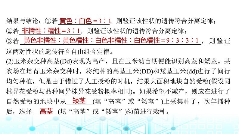 2024届苏教版高中生物一轮复习微专题6基因定位的遗传实验设计课件第4页