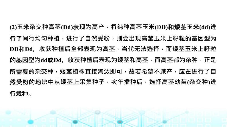 2024届苏教版高中生物一轮复习微专题6基因定位的遗传实验设计课件第6页