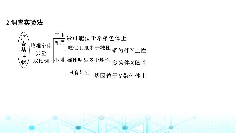 2024届苏教版高中生物一轮复习微专题6基因定位的遗传实验设计课件第8页