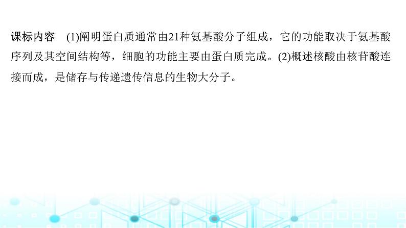 2024届苏教版高中生物一轮复习蛋白质和核酸课件第2页