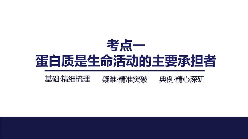 2024届苏教版高中生物一轮复习蛋白质和核酸课件第4页