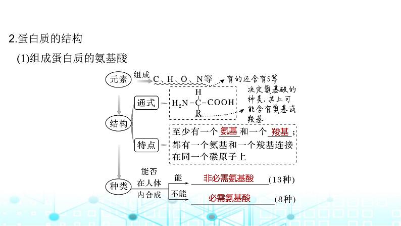 2024届苏教版高中生物一轮复习蛋白质和核酸课件第6页