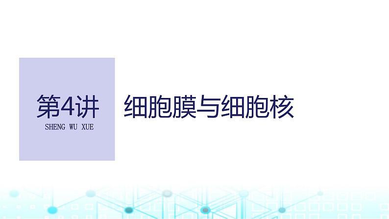 2024届苏教版高中生物一轮复习细胞膜与细胞核课件01