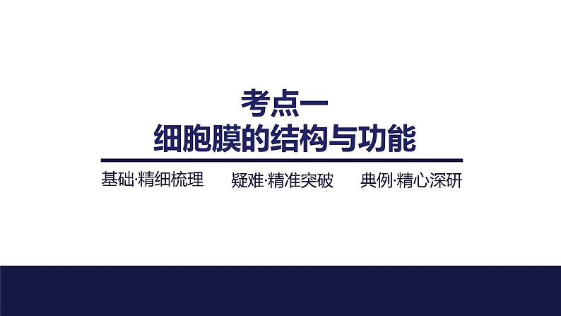 2024届苏教版高中生物一轮复习细胞膜与细胞核课件04