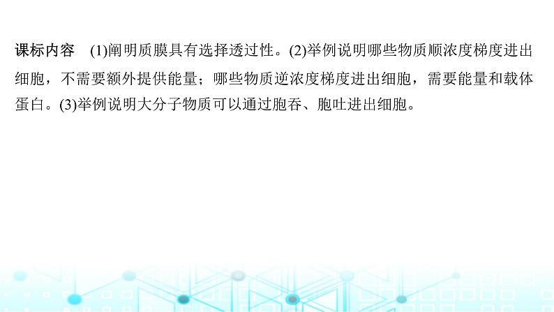 2024届苏教版高中生物一轮复习细胞的物质输入和输出课件第2页