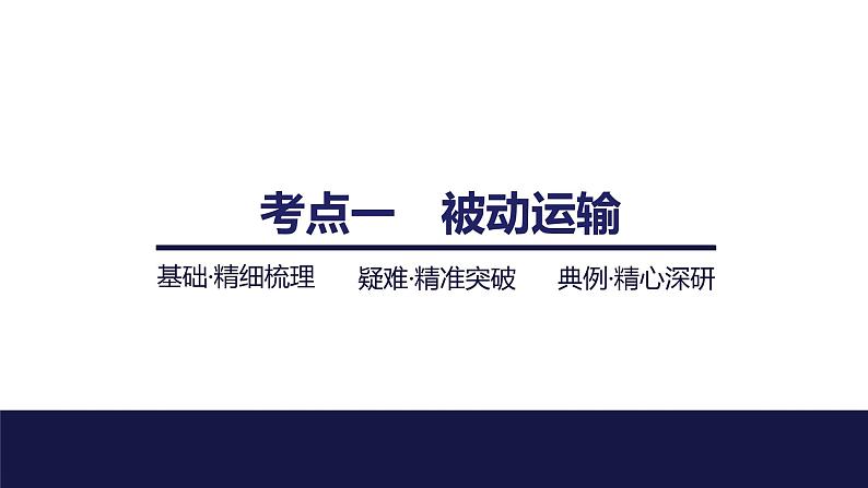 2024届苏教版高中生物一轮复习细胞的物质输入和输出课件第4页