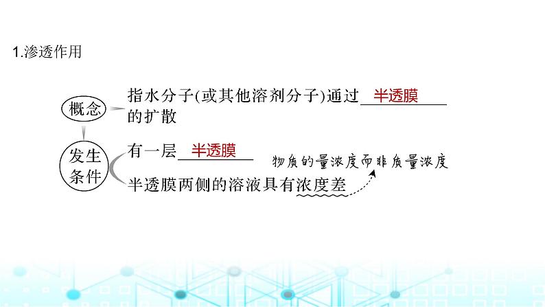 2024届苏教版高中生物一轮复习细胞的物质输入和输出课件第5页