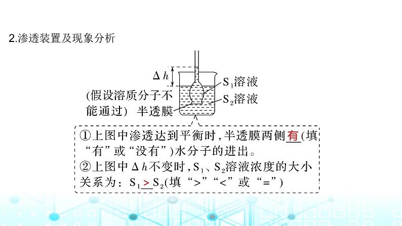 2024届苏教版高中生物一轮复习细胞的物质输入和输出课件第6页