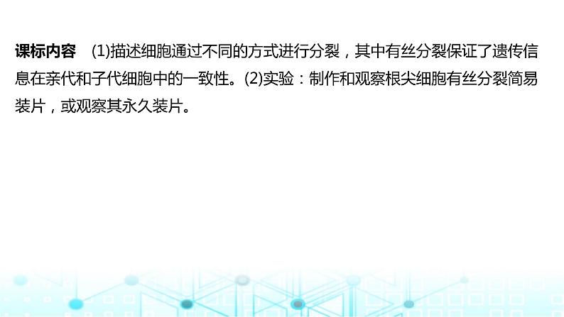 2024届苏教版高中生物一轮复习细胞的增殖课件第2页