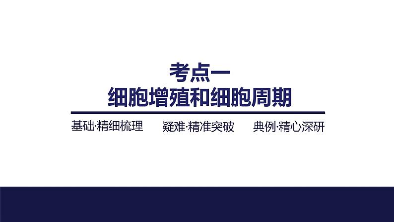 2024届苏教版高中生物一轮复习细胞的增殖课件第4页