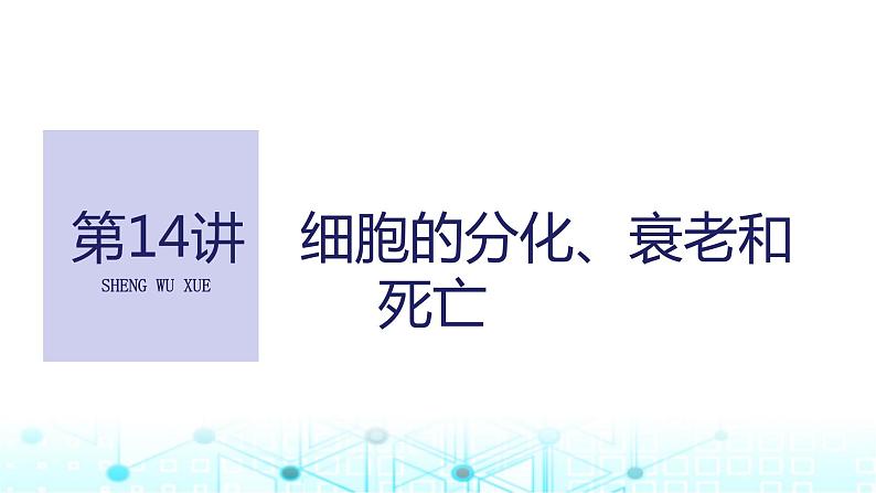 2024届苏教版高中生物一轮复习细胞的分化、衰老和死亡课件第1页