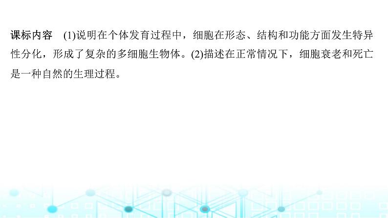 2024届苏教版高中生物一轮复习细胞的分化、衰老和死亡课件第2页